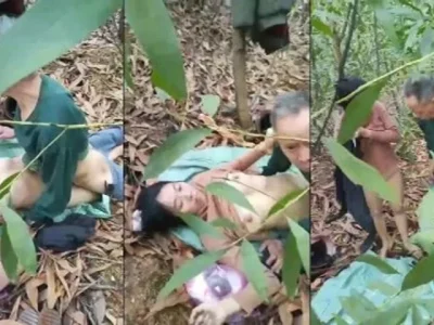 Xem video: Cú có tuổi mà vẫn cho vô rừng chơi bình thường